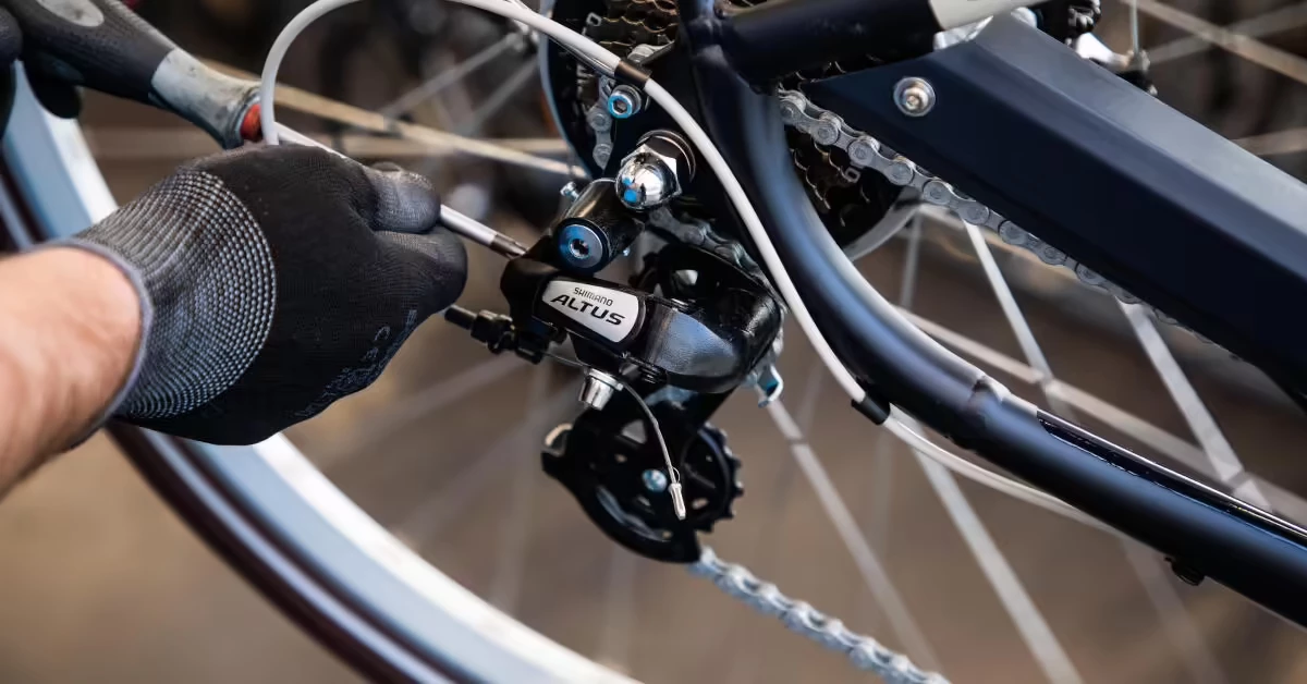 Pignons Soldes Boutique -Pignons Soldes Boutique 2